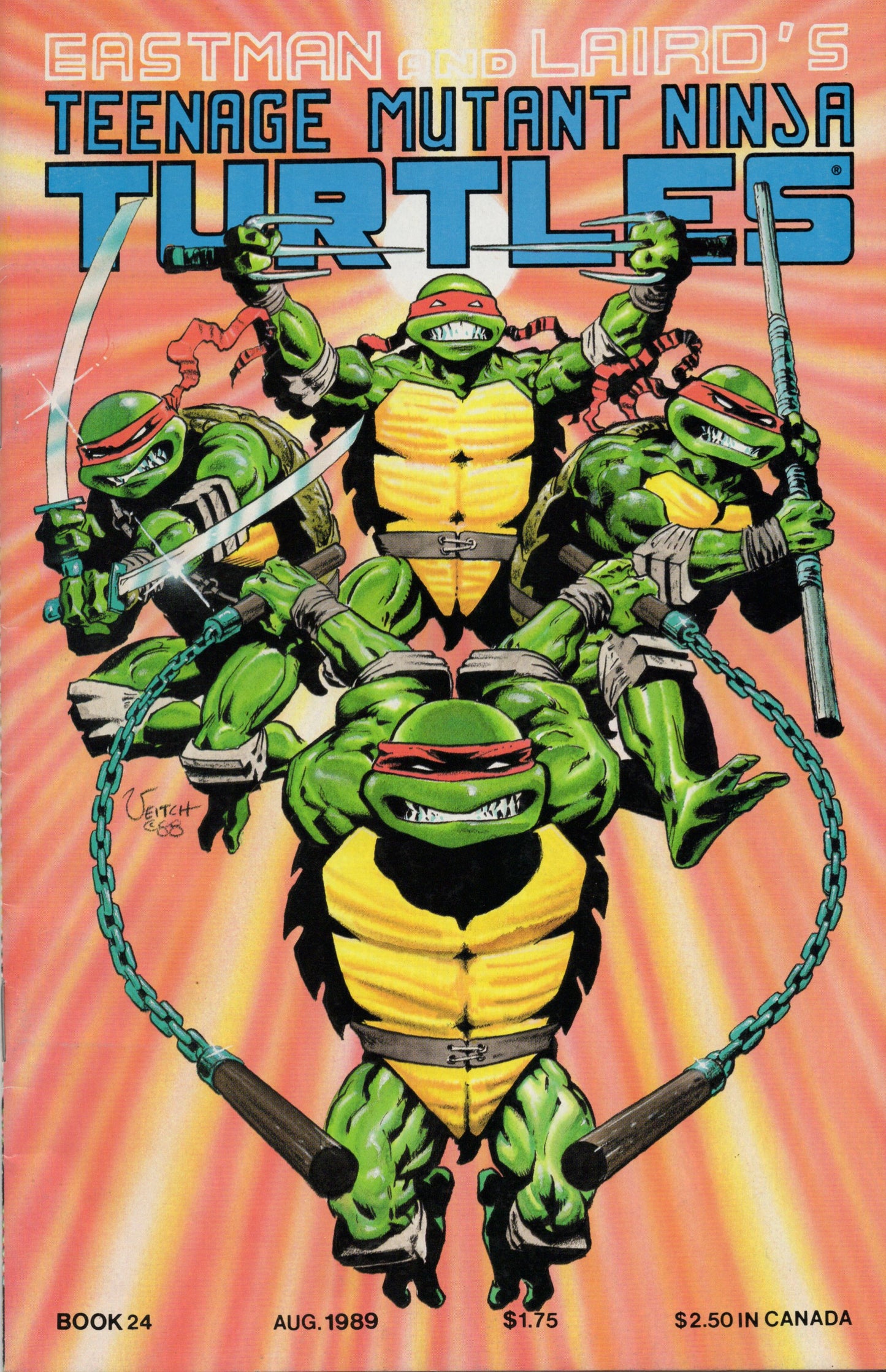 Teenage Mutant Ninja Turtles 24