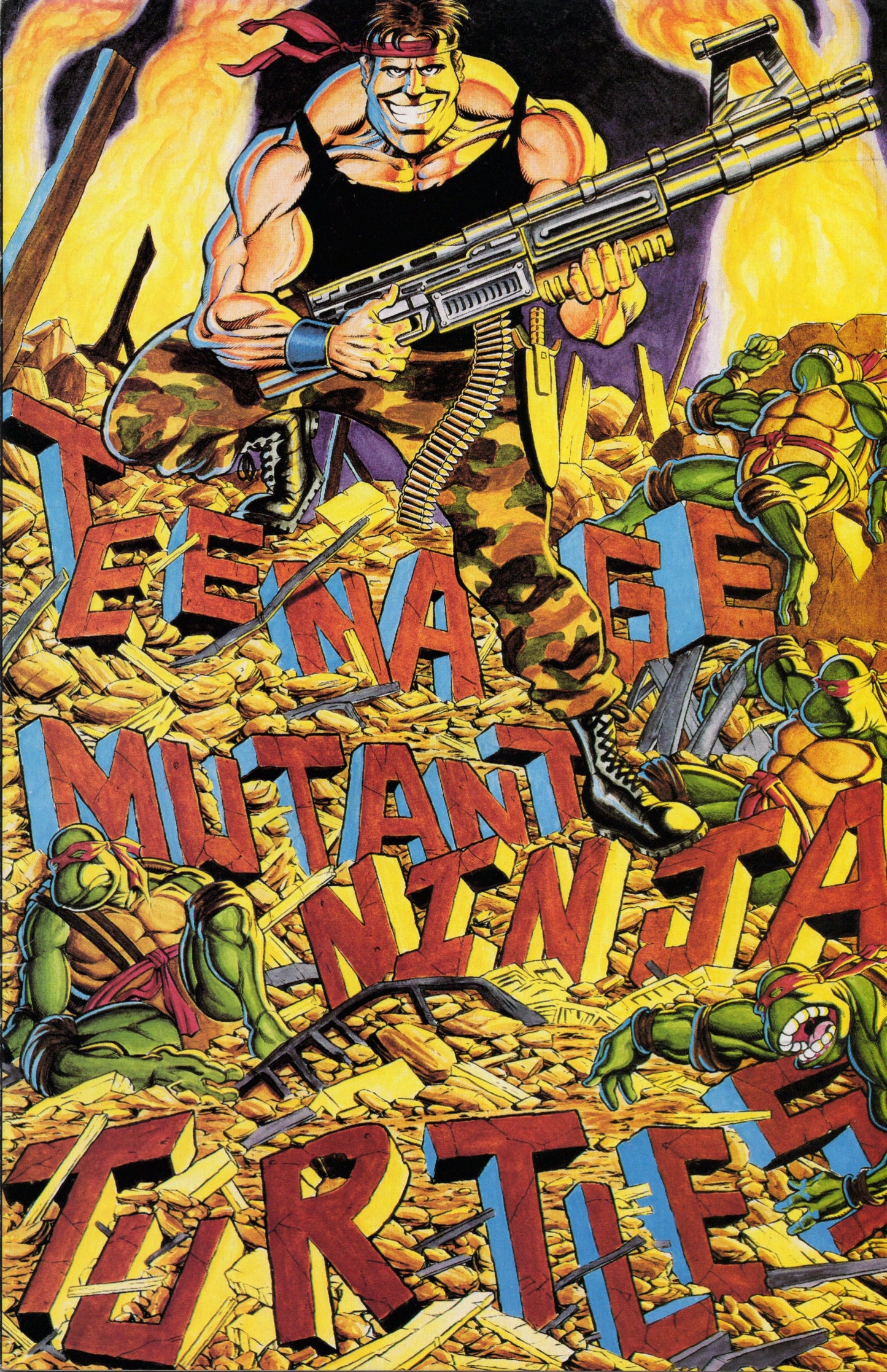 Teenage Mutant Ninja Turtles 34