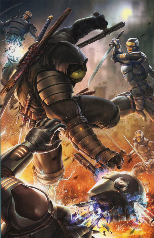 Teenage Mutant Ninja Turtles: The Last Ronin 1 (Raw)